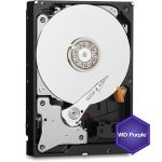 هارددیسک اینترنال وسترن دیجیتال مدل Purple WD101PURZ ظرفیت 10 ترابایت
