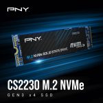 اس اس دی اینترنال پی ان وای مدل CS2230 ظرفیت 500 گیگابایت